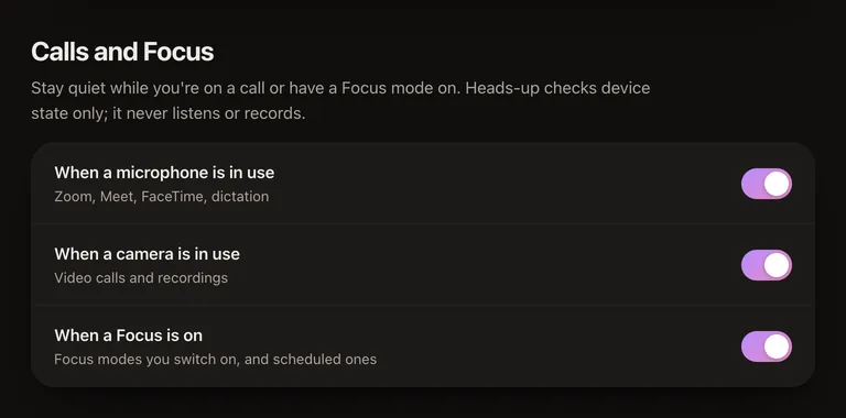 The Calls and Focus section: switches to stay silent while a microphone or camera is in use and while a Focus mode is on.