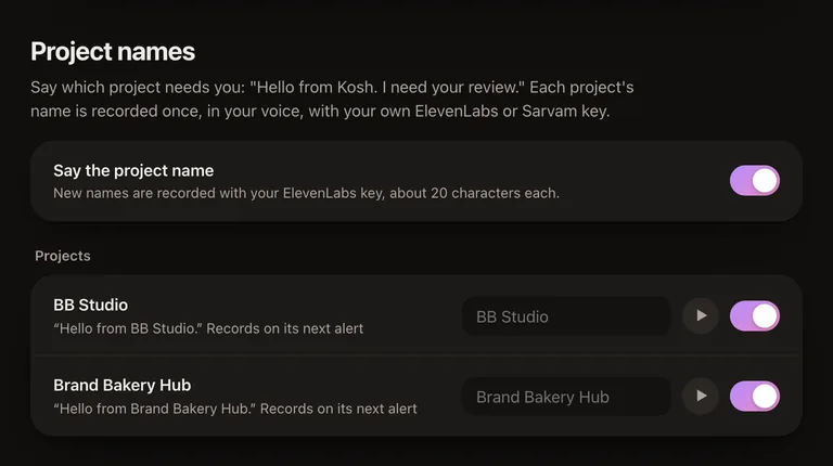 The Project names section: Say the project name is on, with BB Studio and Brand Bakery Hub listed, each saying "Hello from" its name.