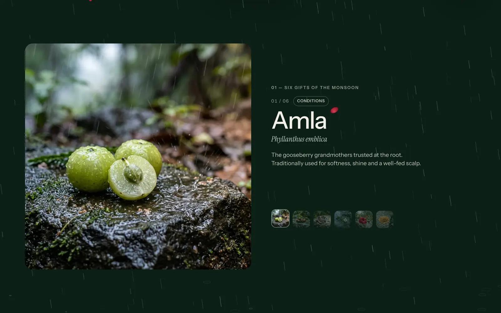 getpureprakriti.com, desktop: herb story: Amla