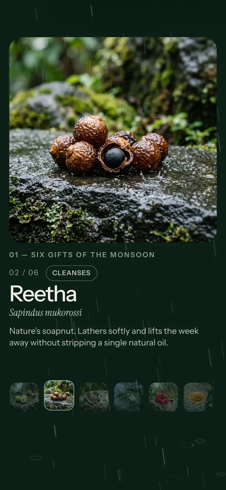 getpureprakriti.com, mobile: herb card: Reetha